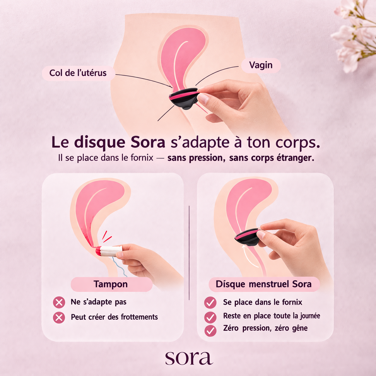 Sora Disc — Zéro fuite